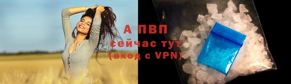 spice Алексеевка