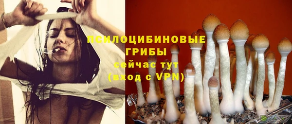 spice Алексеевка