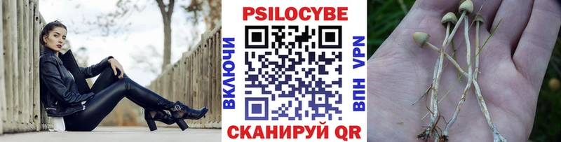 магазин продажи наркотиков  Лермонтов  Галлюциногенные грибы ЛСД 